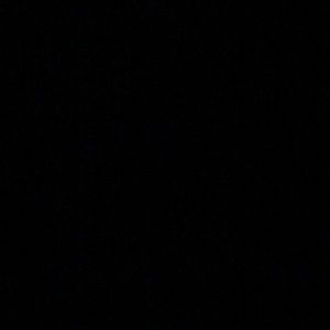 Meet your Posher, Sophie